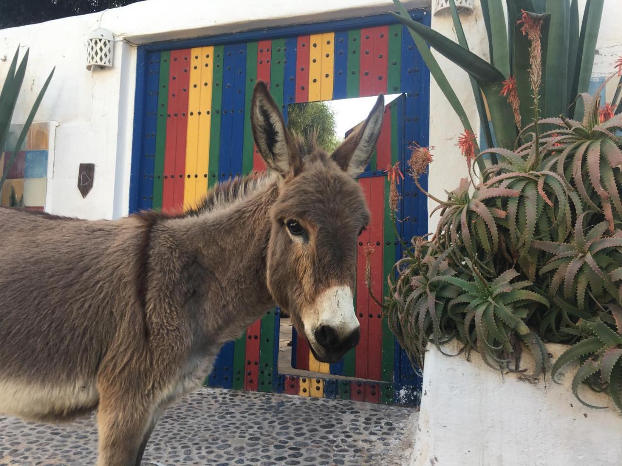 Hotel De La Sidi Kaouki